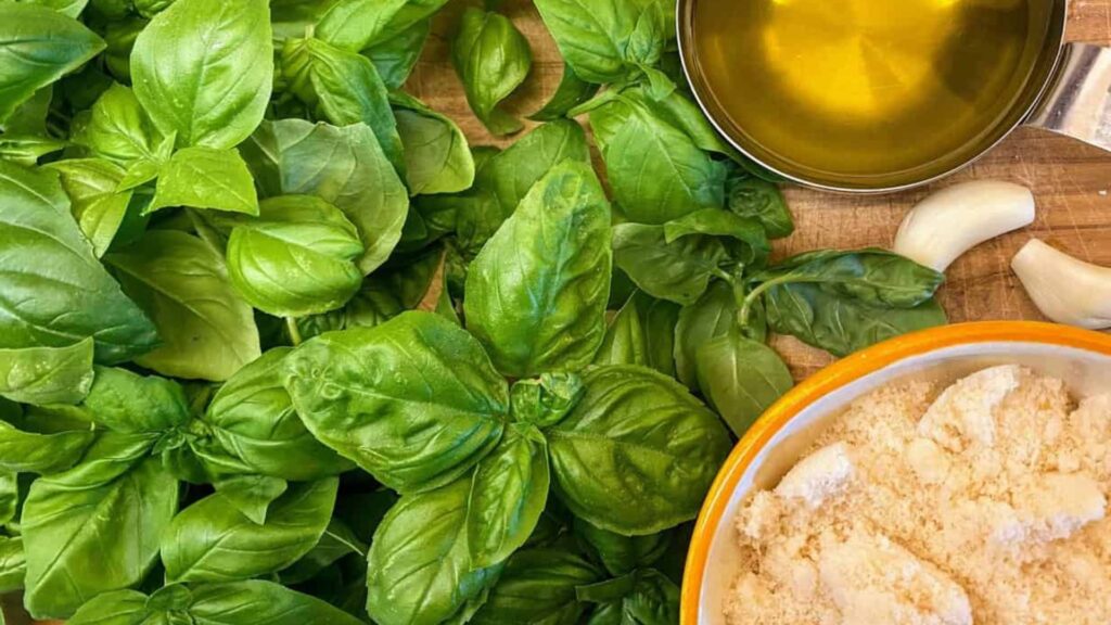 How to prepare walnut pesto recipe