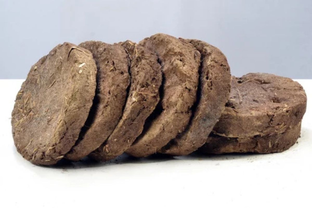 You are currently viewing Cow Dung Cake Recipe: A Traditional Natural Fuel for Your Home