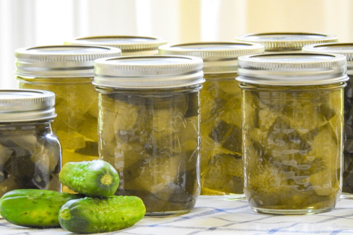 You are currently viewing Eight-Day Icicle Pickles Recipe – The Ultimate Sweet & Tangy Crunch
